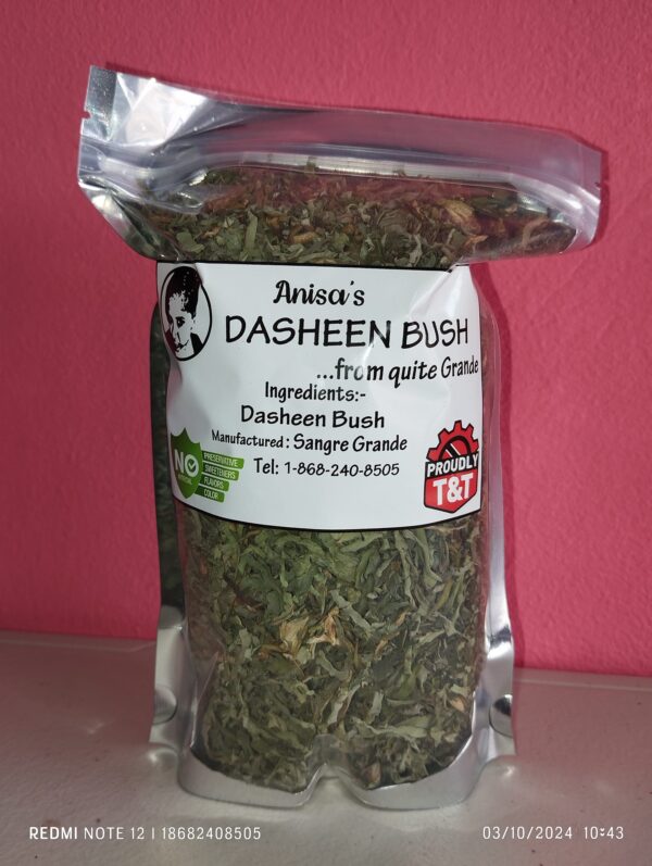 Anisa's Dasheen Bush